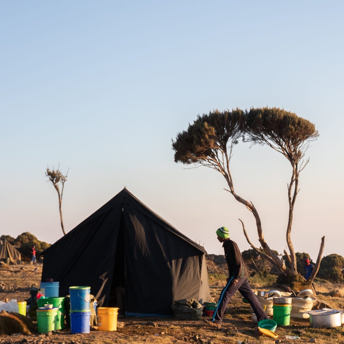 Mountain camp with acacia trees and tents